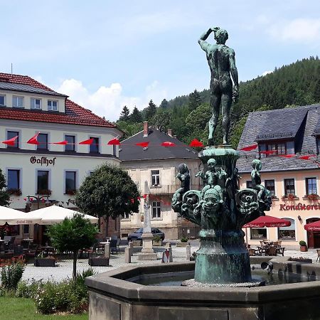 Gasthof Hillig Bad Gottleuba Dış mekan fotoğraf