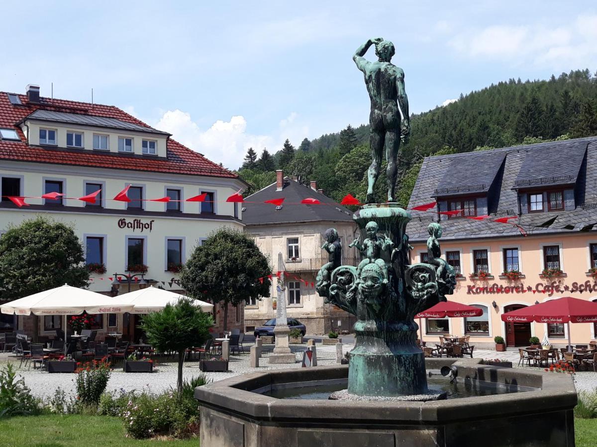 Gasthof Hillig Bad Gottleuba Dış mekan fotoğraf
