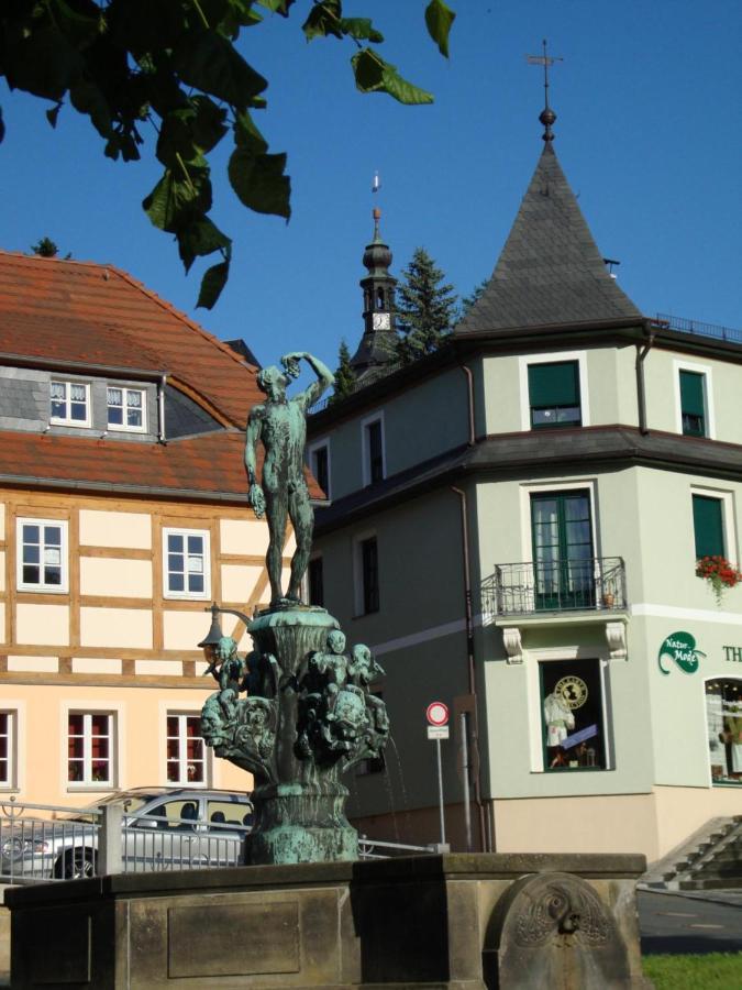 Gasthof Hillig Bad Gottleuba Dış mekan fotoğraf