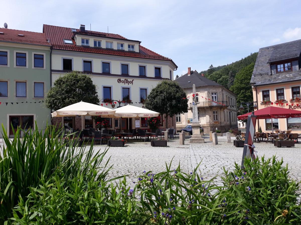 Gasthof Hillig Bad Gottleuba Dış mekan fotoğraf