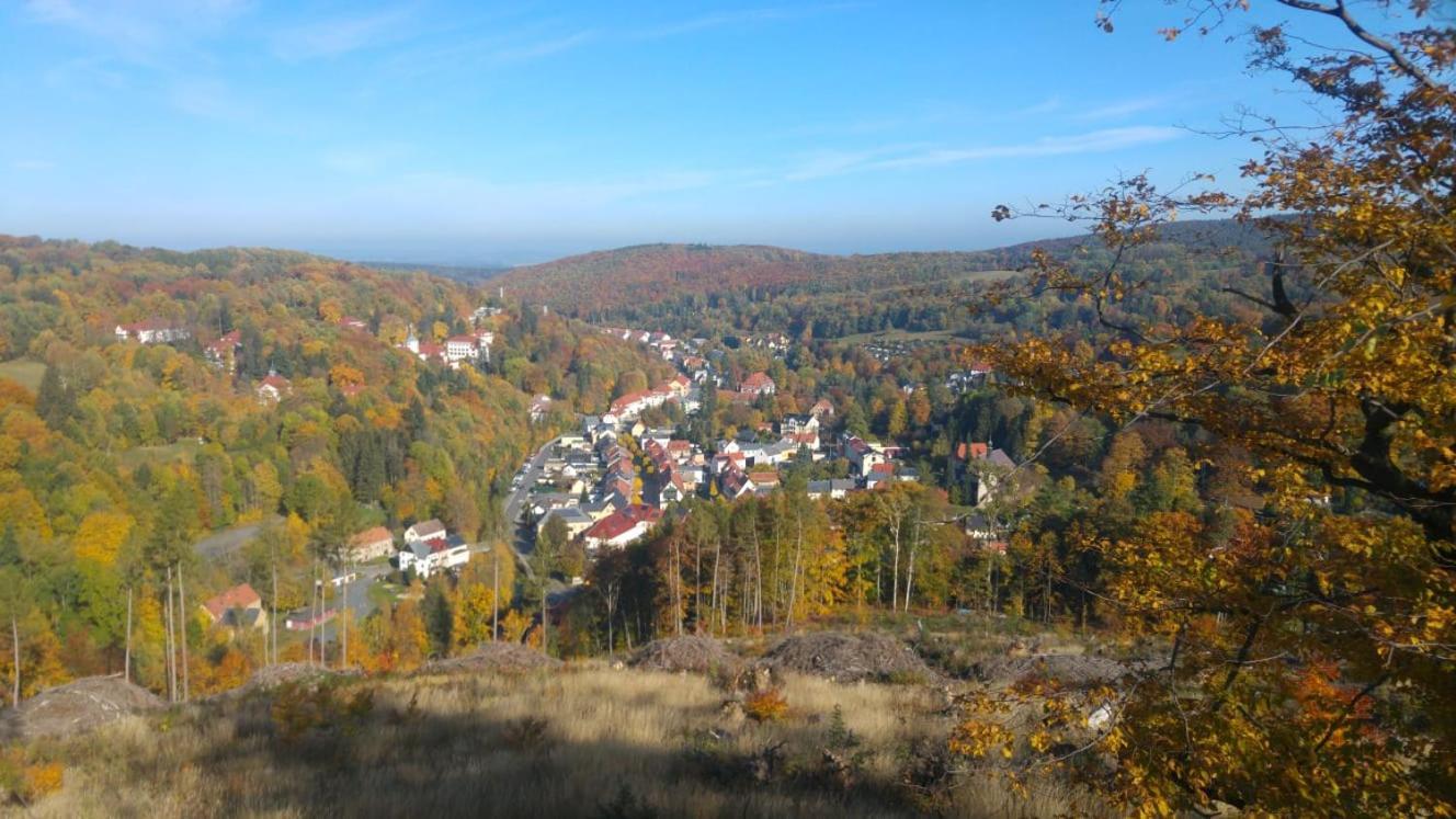 Gasthof Hillig Bad Gottleuba Dış mekan fotoğraf